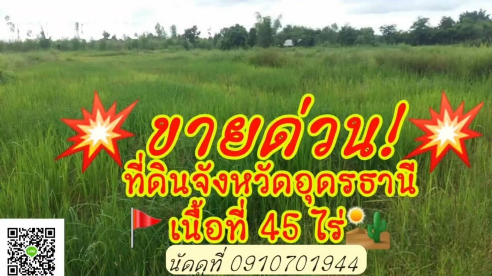 ขายถูกมากที่ดินอุดรธานี45ไร่ที่ดินเหมาะสำหรับการเพาะปลูกเลี้ยงสัตว์หรือทำบ้านสวน #ที่ดินอุดร