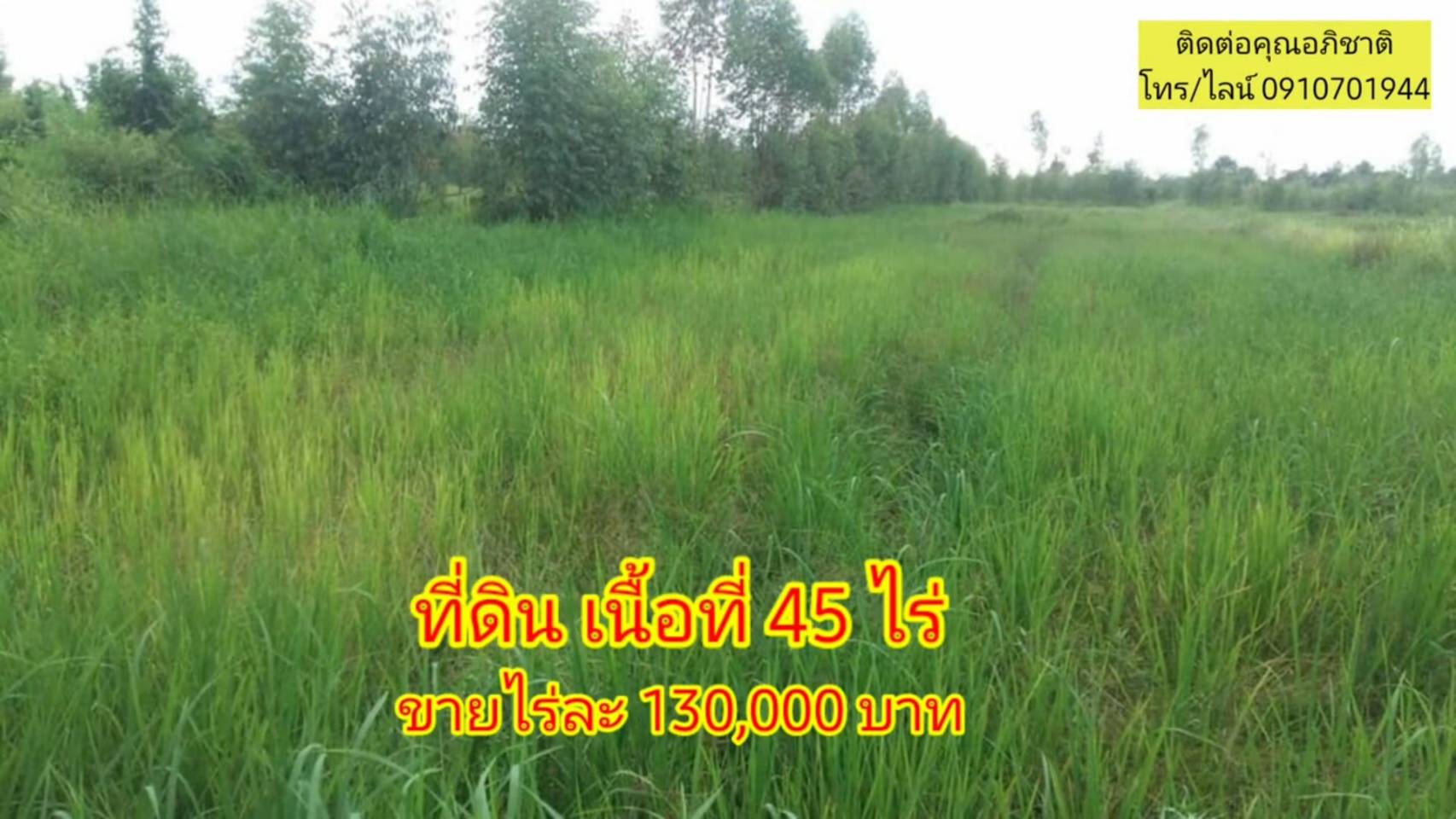 ขายถูกมากที่ดินอุดรธานี45ไร่ที่ดินเหมาะสำหรับการเพาะปลูกเลี้ยงสัตว์หรือทำบ้านสวน #ที่ดินอุดร (รูปที่ 7)