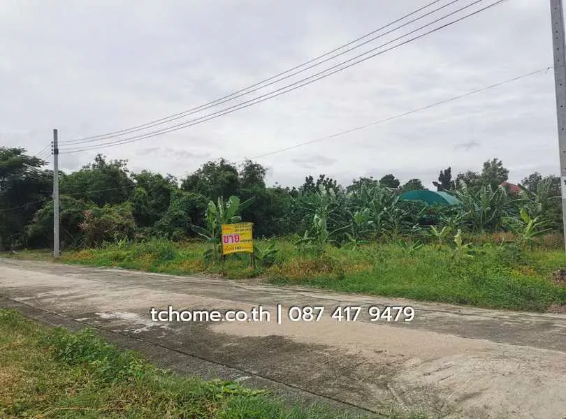 ขายด่วนที่ดิน 102 ตรว. ราคาไม่แพง โครงการชัยพฤกษ์บางนา กม.18 เยื้อง ม.หัวเฉียวเฉลิมพระเกียรติฯ (รูปที่ 4)