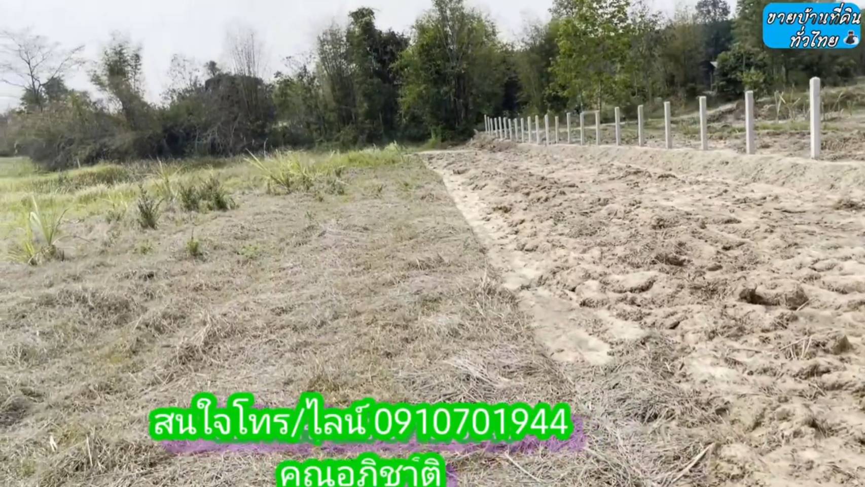 ?❤ที่ดินมาใหม่ ??ขายด่วนที่ดิน 8 ไร่ 2 งาน 67 ตรว.จังหวัดอุดรธานี ต.โคกกลาง อ.เพ็ญ จ.อุดรธานี (รูปที่ 13)