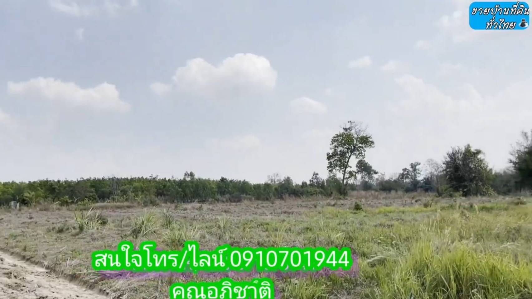 ?❤ที่ดินมาใหม่ ??ขายด่วนที่ดิน 8 ไร่ 2 งาน 67 ตรว.จังหวัดอุดรธานี ต.โคกกลาง อ.เพ็ญ จ.อุดรธานี (รูปที่ 19)