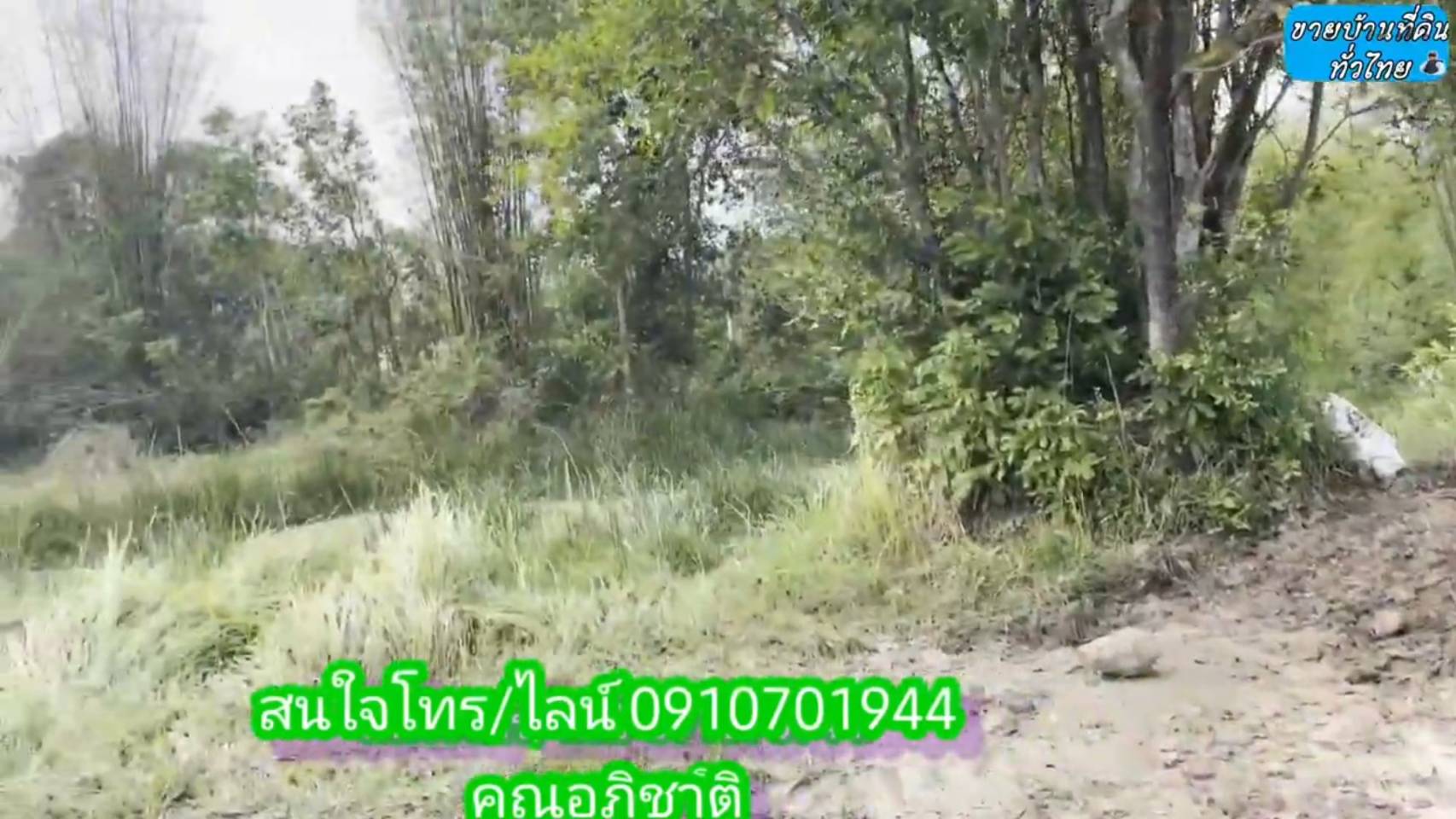 ?❤ที่ดินมาใหม่ ??ขายด่วนที่ดิน 8 ไร่ 2 งาน 67 ตรว.จังหวัดอุดรธานี ต.โคกกลาง อ.เพ็ญ จ.อุดรธานี (รูปที่ 16)