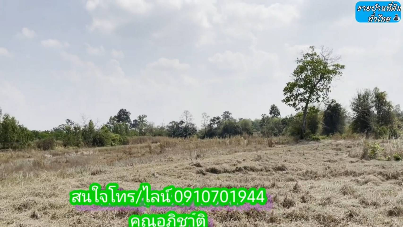 ?❤ที่ดินมาใหม่ ??ขายด่วนที่ดิน 8 ไร่ 2 งาน 67 ตรว.จังหวัดอุดรธานี ต.โคกกลาง อ.เพ็ญ จ.อุดรธานี (รูปที่ 20)