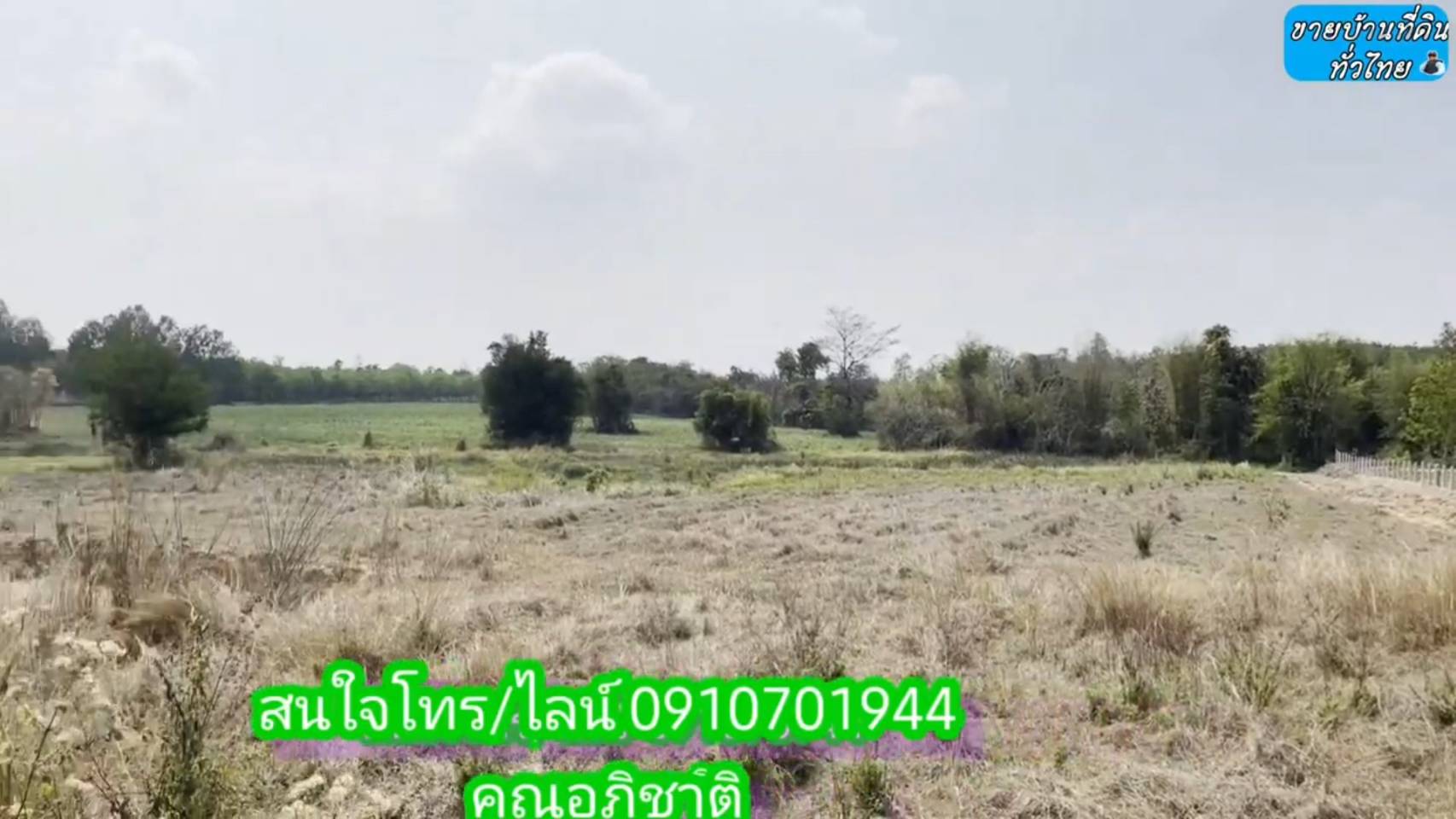 ?❤ที่ดินมาใหม่ ??ขายด่วนที่ดิน 8 ไร่ 2 งาน 67 ตรว.จังหวัดอุดรธานี ต.โคกกลาง อ.เพ็ญ จ.อุดรธานี (รูปที่ 10)