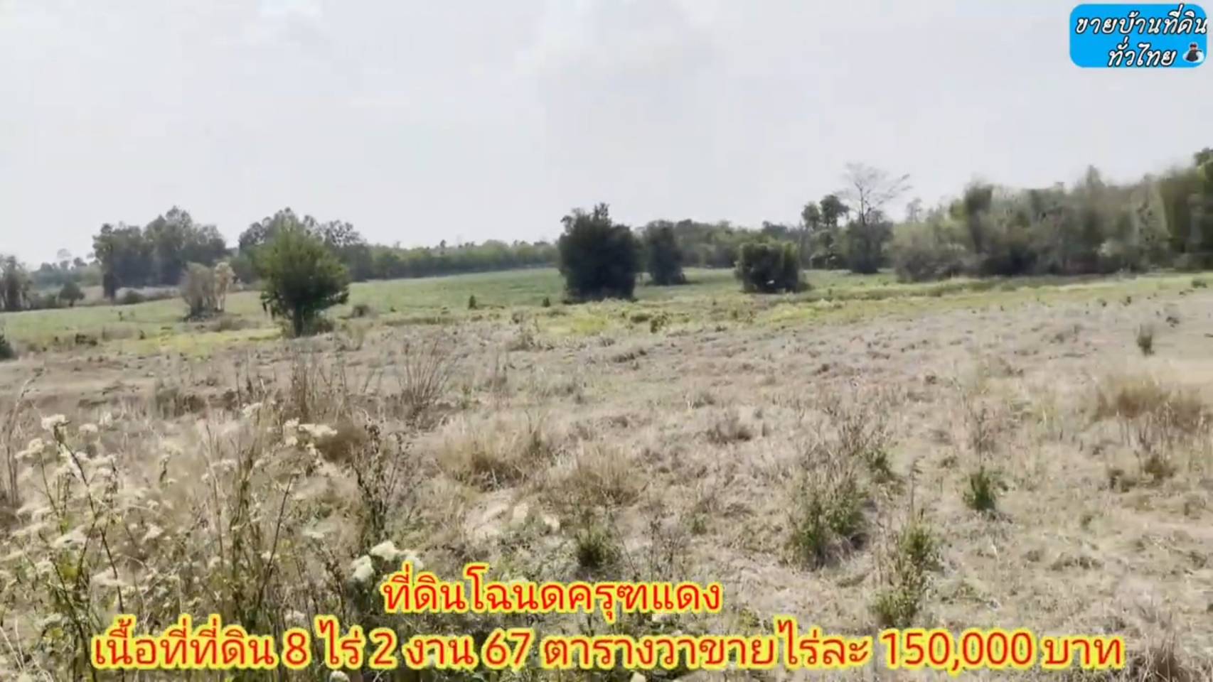 ?❤ที่ดินมาใหม่ ??ขายด่วนที่ดิน 8 ไร่ 2 งาน 67 ตรว.จังหวัดอุดรธานี ต.โคกกลาง อ.เพ็ญ จ.อุดรธานี (รูปที่ 23)