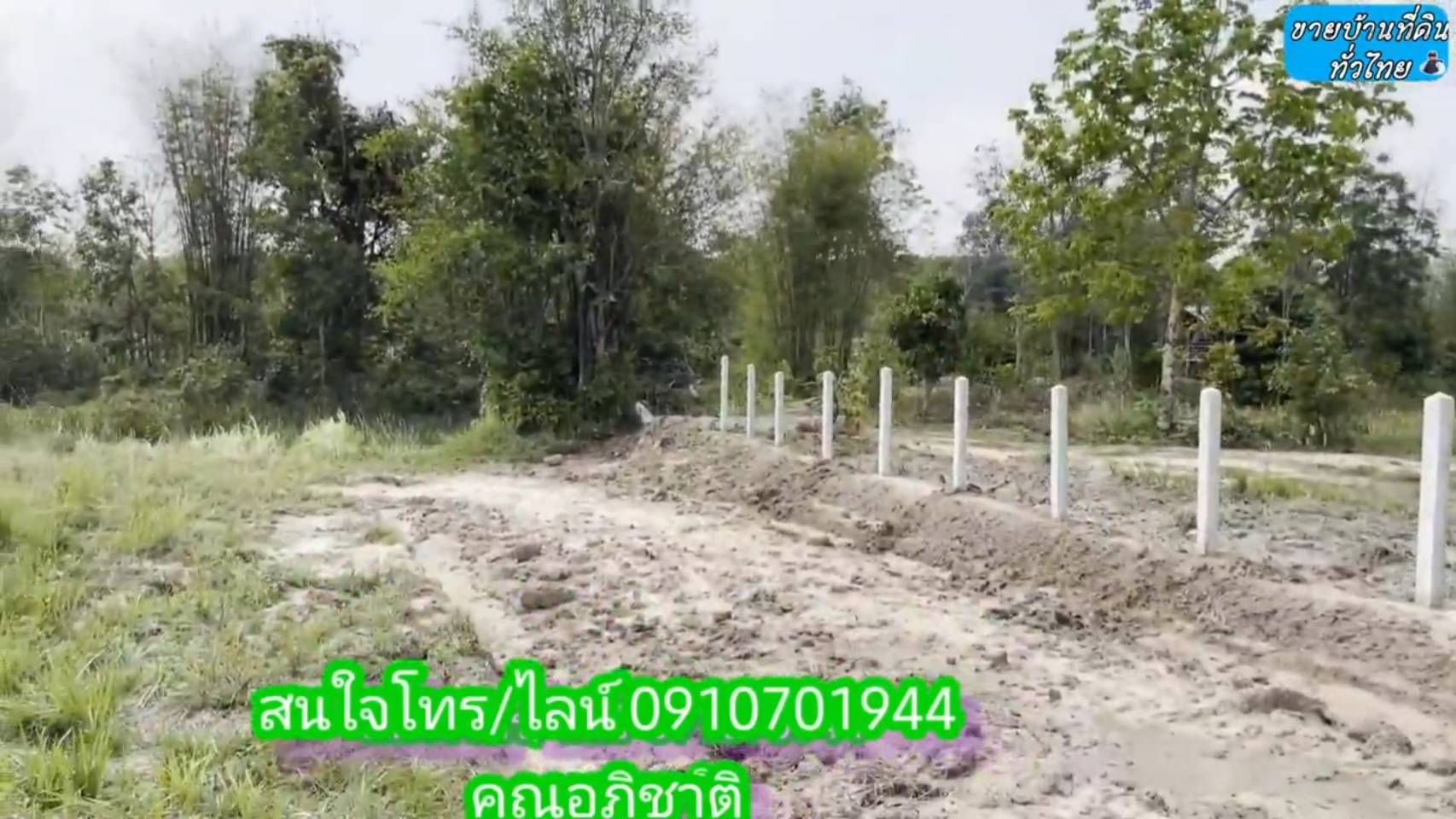 ?❤ที่ดินมาใหม่ ??ขายด่วนที่ดิน 8 ไร่ 2 งาน 67 ตรว.จังหวัดอุดรธานี ต.โคกกลาง อ.เพ็ญ จ.อุดรธานี (รูปที่ 15)