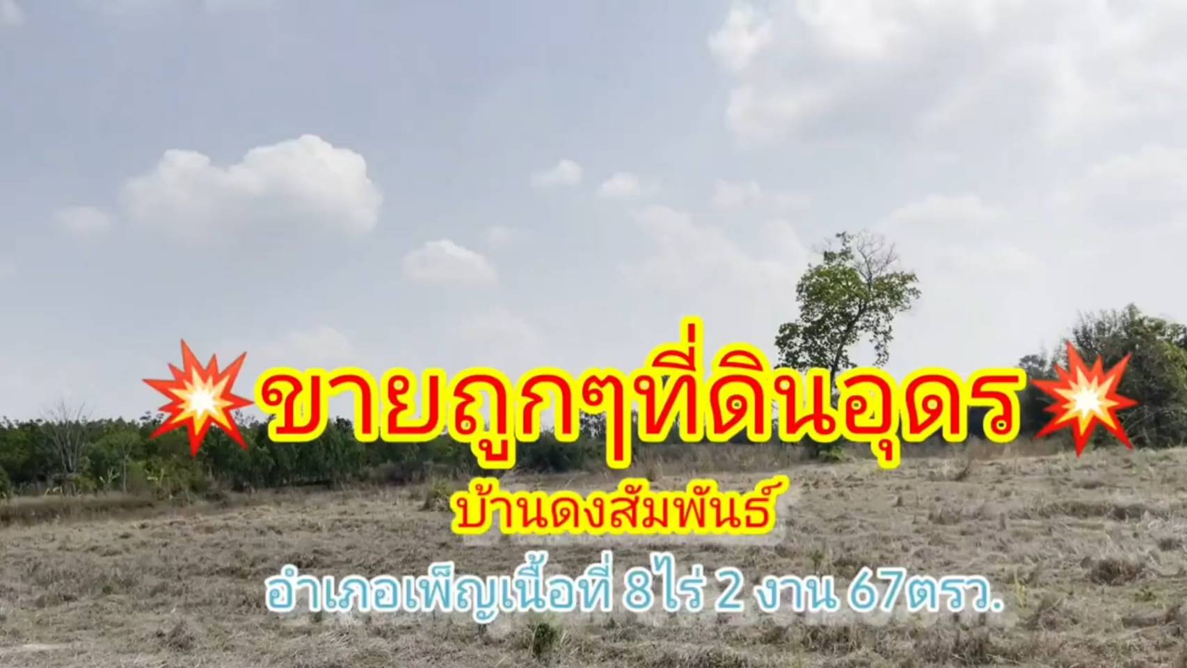 ?❤ที่ดินมาใหม่ ??ขายด่วนที่ดิน 8 ไร่ 2 งาน 67 ตรว.จังหวัดอุดรธานี ต.โคกกลาง อ.เพ็ญ จ.อุดรธานี (รูปที่ 2)