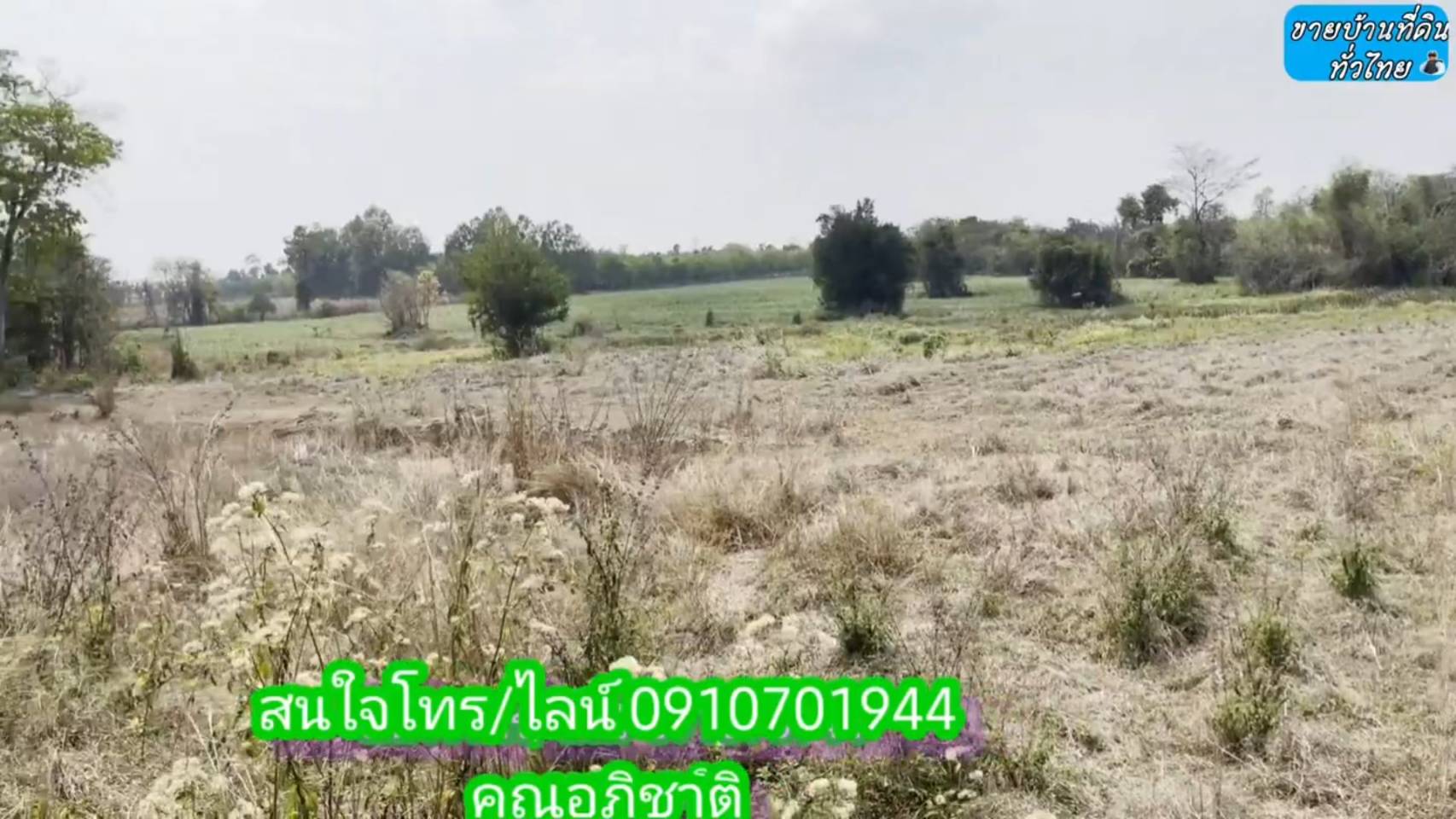 ?❤ที่ดินมาใหม่ ??ขายด่วนที่ดิน 8 ไร่ 2 งาน 67 ตรว.จังหวัดอุดรธานี ต.โคกกลาง อ.เพ็ญ จ.อุดรธานี (รูปที่ 11)