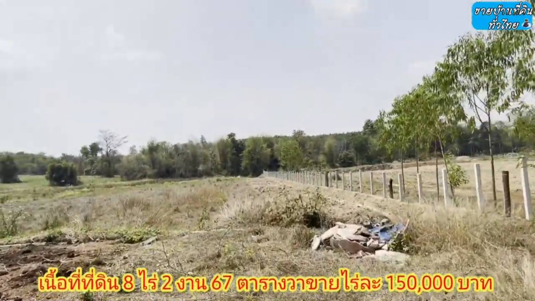 ?❤ที่ดินมาใหม่ ??ขายด่วนที่ดิน 8 ไร่ 2 งาน 67 ตรว.จังหวัดอุดรธานี ต.โคกกลาง อ.เพ็ญ จ.อุดรธานี (รูปที่ 8)