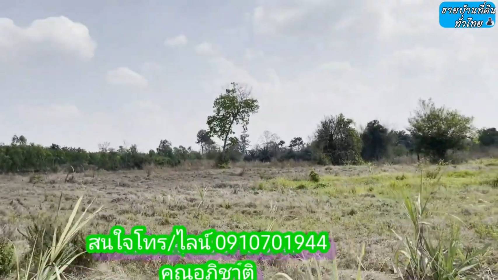 ?❤ที่ดินมาใหม่ ??ขายด่วนที่ดิน 8 ไร่ 2 งาน 67 ตรว.จังหวัดอุดรธานี ต.โคกกลาง อ.เพ็ญ จ.อุดรธานี (รูปที่ 17)