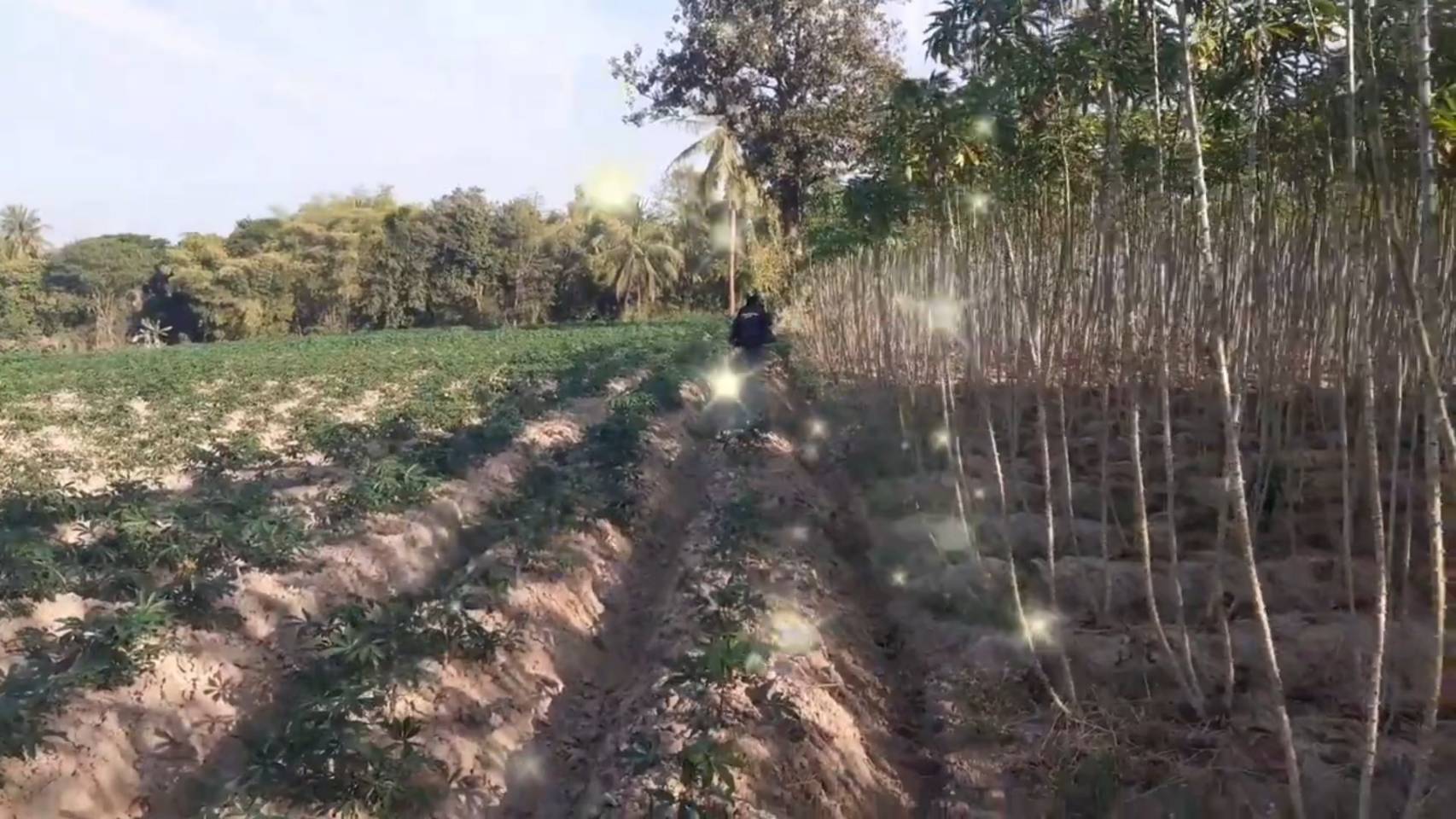 ขายที่ดินถูกๆ 1 แปลง 3ไร่2งาน67ตรวอำเภอหนองวัวซอ จังหวัดอุดรธานี ติดถนน 210 ห่างจากตัวเมือง 2 ก.ม (รูปที่ 26)