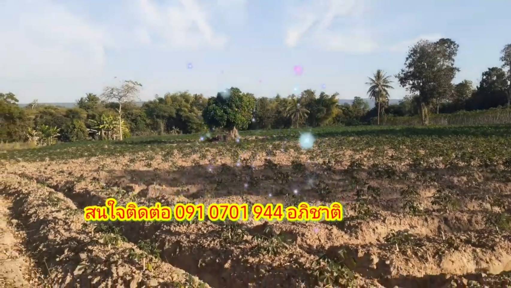 ขายที่ดินถูกๆ 1 แปลง 3ไร่2งาน67ตรวอำเภอหนองวัวซอ จังหวัดอุดรธานี ติดถนน 210 ห่างจากตัวเมือง 2 ก.ม