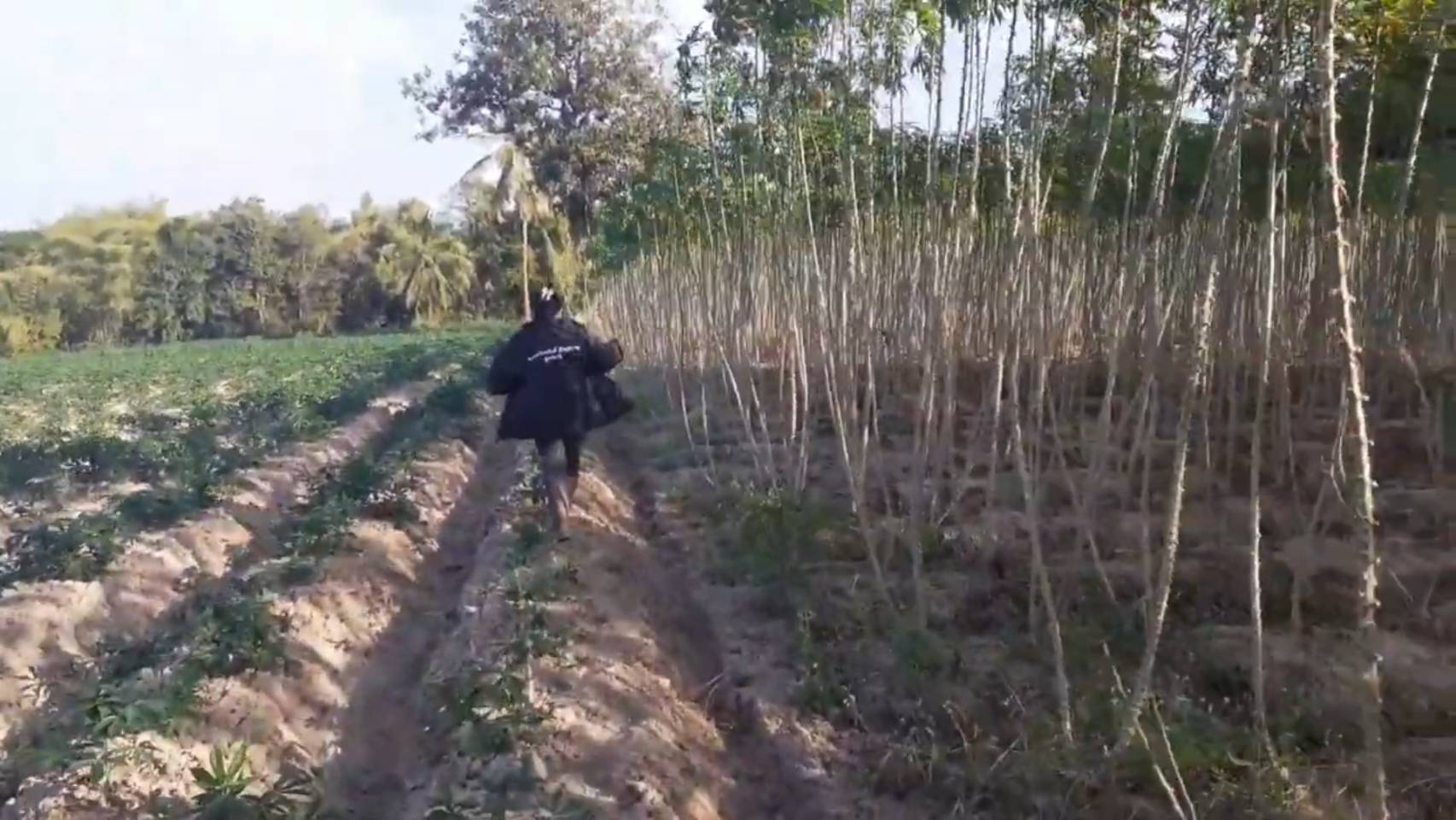 ขายที่ดินถูกๆ 1 แปลง 3ไร่2งาน67ตรวอำเภอหนองวัวซอ จังหวัดอุดรธานี ติดถนน 210 ห่างจากตัวเมือง 2 ก.ม (รูปที่ 19)