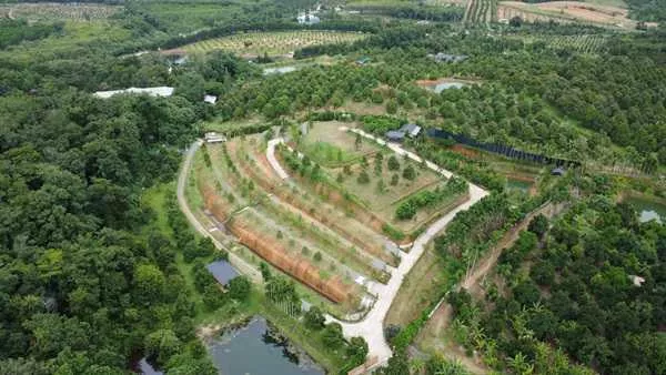 ขายสวนทุเรียน ขั้นบันได พร้อมบ้านตากอากาศบนเนินเขา สไตส์รีสอร์ท วิวหลักล้าน 11ไร่ อ.มะขาม จันทบุรี โทร 0830132000
