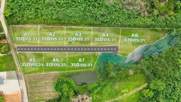 ขายที่ดินหมูสี ปากช่อง เขาใหญ่ โคราช แบ่งแปลงขายพร้อม สาธารณุปโภคพร้อม โทร 0814012278 (รูปที่ 3)