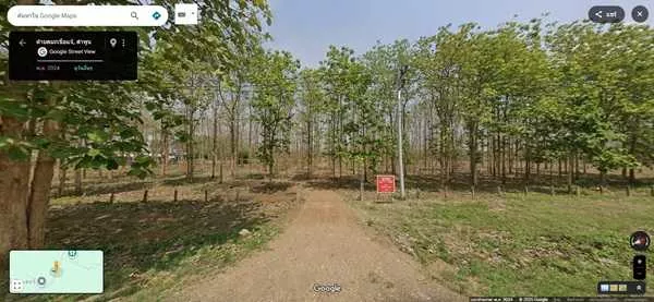 ด่วน! โอกาสทองสำหรับนักลงทุน ที่ดิน 29 ไร่ พร้อมสวนสักอายุ 12 ปี ใกล้เมืองลำพูน โทร 081-530-7997 (รูปที่ 3)