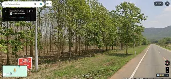ด่วน! โอกาสทองสำหรับนักลงทุน ที่ดิน 29 ไร่ พร้อมสวนสักอายุ 12 ปี ใกล้เมืองลำพูน โทร 081-530-7997 (รูปที่ 2)