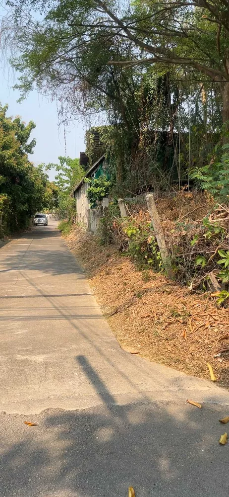 ขายที่ดิน 207 ตร.ว. เหมืองง่า เมืองลำพูน – ทำเลดี ราคาถูก (รูปที่ 7)