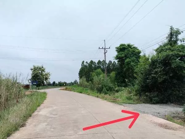 ขายที่ดิน ซอย บ้านหนองไทร ต.บ้านไร่ อ.ลาดยาว จ.นครสวรรค์ 34 ไร่ โฉนดครุฑแดง เจ้าของขายเอง โทร 065-3423946 (รูปที่ 2)