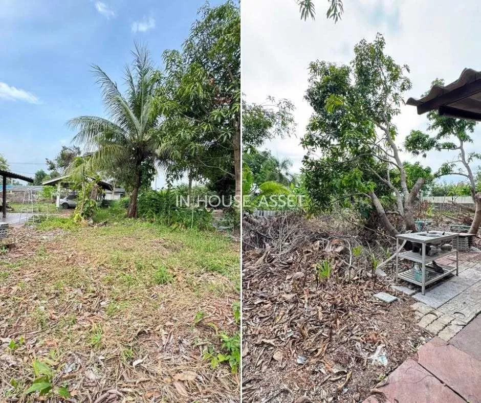 ขายบ้านเดี่ยวถูกมาก !! พร้อมบ้าน 2 หลัง บนเนื้อที่ 1 -0-42 ไร่ ไทรน้อย นนทบุรี ห่าง ถนนบางบัวทอง-สุพรรณบุรี 800 เมตร เหมาะทำเป็นบ้านสวน บรรยากาศดีมาก (รูปที่ 20)