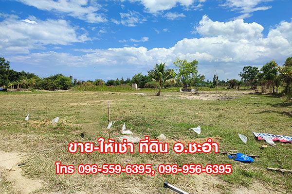 ขาย ให้เช่าที่ดินสวย ที่ดินเปล่า 3 ไร่ ชะอำ เพชรบุรี ใกล้หัวหิน (รูปที่ 3)