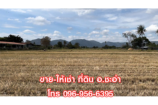 ขาย ให้เช่า ที่ดินเปล่า 3 ไร่ ชะอำ หัวหิน เพชรบุรี ทำเลดี เข้าสะดวก