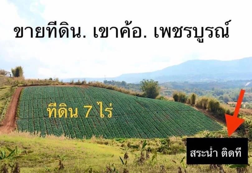 ขายที่ดิน เขาค้อ เพชรบูรณ์ ? ราคา ขายยกแปลง 7 ไร่ 3,500,000