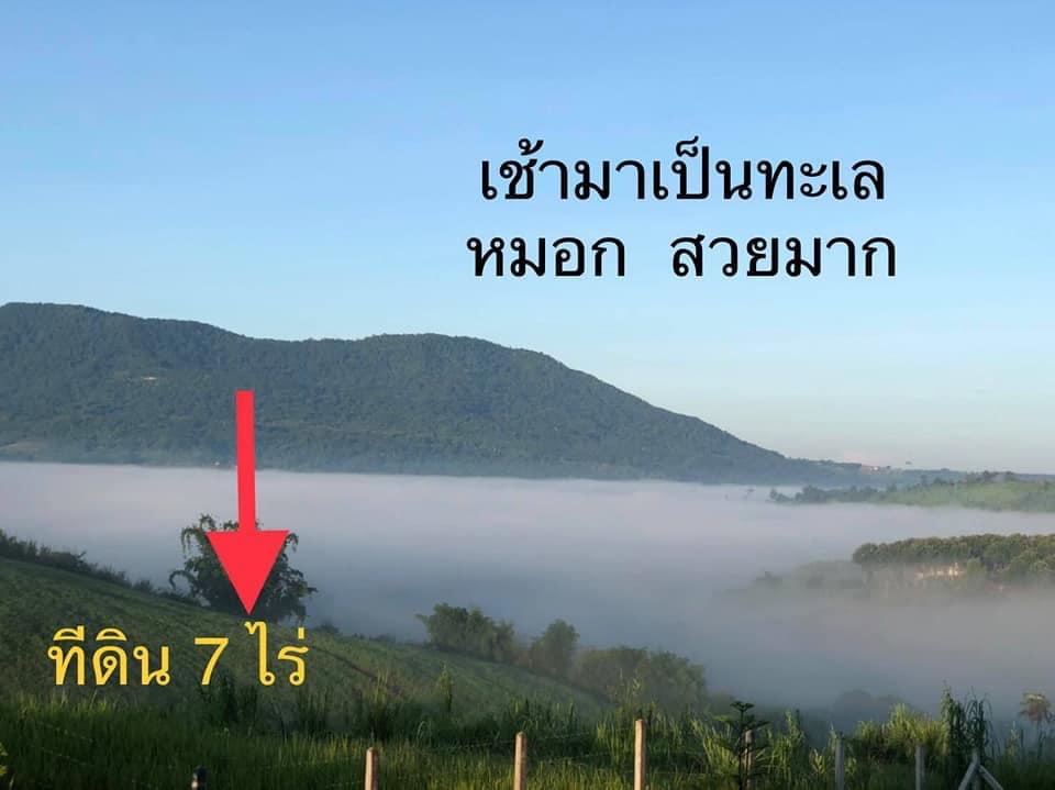 ขายที่ดิน เขาค้อ เพชรบูรณ์ ? ราคา ขายยกแปลง 7 ไร่ 3,500,000 (รูปที่ 2)
