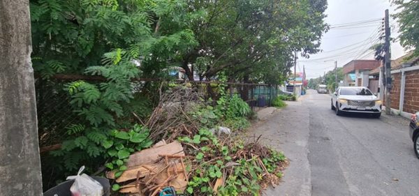 ขายโกดัง ขนาด 121 วา ครัวกลาง ตรงข้ามอิเกีย เมกะบางนา ซอยดีแคทลอน หมู่บ้านทุ่งเศรษฐี ราคาดี ติดต่อ/line 0619419639 (รูปที่ 3)