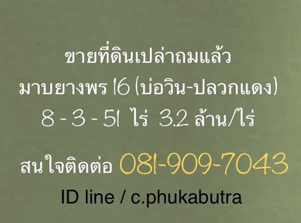 ขายที่ดิน มาบยางพร16 (บ่อวิน-ปลวกแดง) ขนาด 8 ไร่ 3 งาน 51 ตร.ว. จ.ระยอง อ.ปลวกแดง ถมแล้ว โทร 081-9097043 (รูปที่ 7)