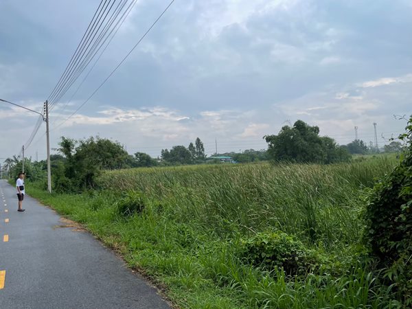 ขายที่ดินสีม่วง บ้านบึงชลบุรี 12 ไร่ 1 งาน 69 ตร.ว. ใกล้ ถ.เส้น 344 สวย สภาพแวดล้อมดี โทร 087-5437260 (รูปที่ 8)