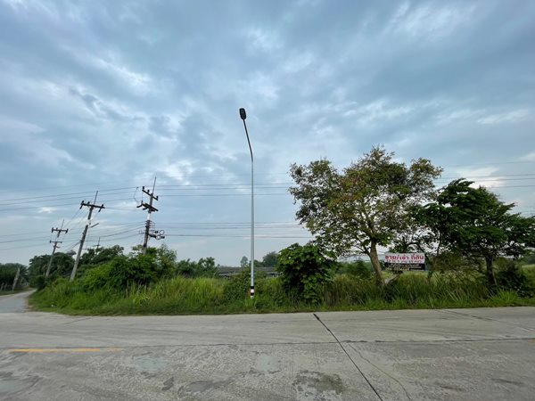 ขายที่ดินสีม่วง บ้านบึงชลบุรี 12 ไร่ 1 งาน 69 ตร.ว. ใกล้ ถ.เส้น 344 สวย สภาพแวดล้อมดี โทร 087-5437260 (รูปที่ 2)