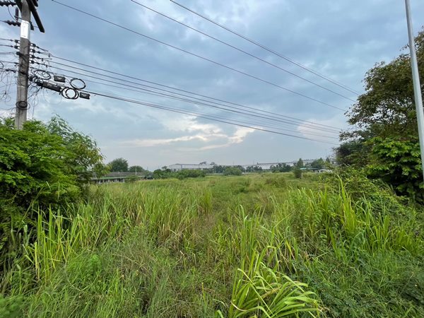 ขายที่ดินสีม่วง บ้านบึงชลบุรี 12 ไร่ 1 งาน 69 ตร.ว. ใกล้ ถ.เส้น 344 สวย สภาพแวดล้อมดี โทร 087-5437260 (รูปที่ 6)