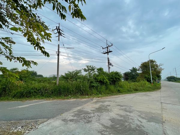 ขายที่ดินสีม่วง บ้านบึงชลบุรี 12 ไร่ 1 งาน 69 ตร.ว. ใกล้ ถ.เส้น 344 สวย สภาพแวดล้อมดี โทร 087-5437260 (รูปที่ 3)