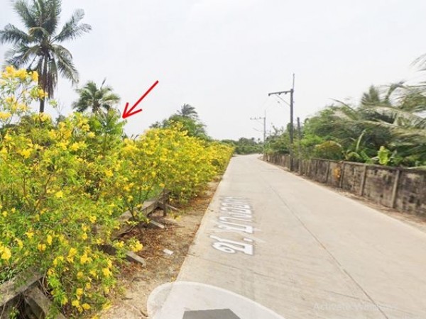 ขายที่ดิน ต.ขุนแก้ว อ.นครชัยศรี จ.นครปฐม ซอยบางออคร ถูกมาก ติดคลอง ขนาด 704 ตร.ว. โทร 094-8518558