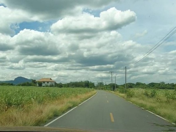 ขายที่ดิน 85 ไร่ ลำนารายณ์ อำเภอชัยบาดาล จังหวัดลพบุรี น้ำไฟพร้อม มีบ้าน 2 ชั้น 1 หลัง โทร 086-3103014