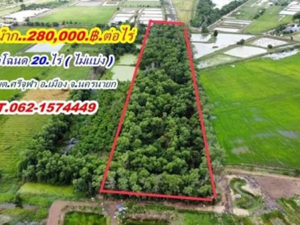 ที่ดินถูกมาก ติดลาดยาง ทำเลดี ที่นครนายก T.062-1574449 สวยๆ ใกล้ อบต.ศรีจุฬา นครนายก