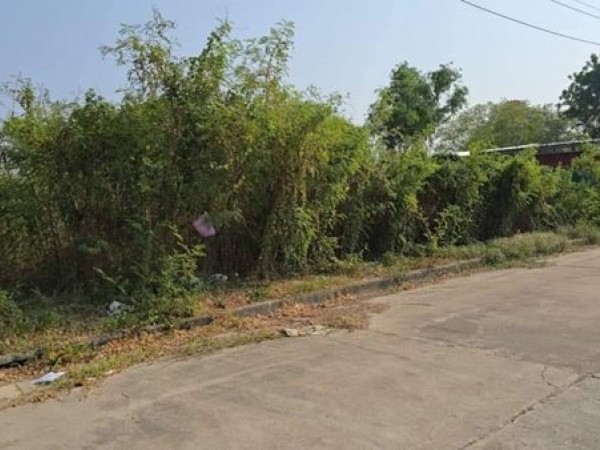 ขายที่ดินสมุทรปราการ บางพลี แปลงสวยถมแล้ว 185ตรว. สามารถปรับเพื่อปลูกสร้างบ้าน หรือ อาคาร โทร 063-7894632