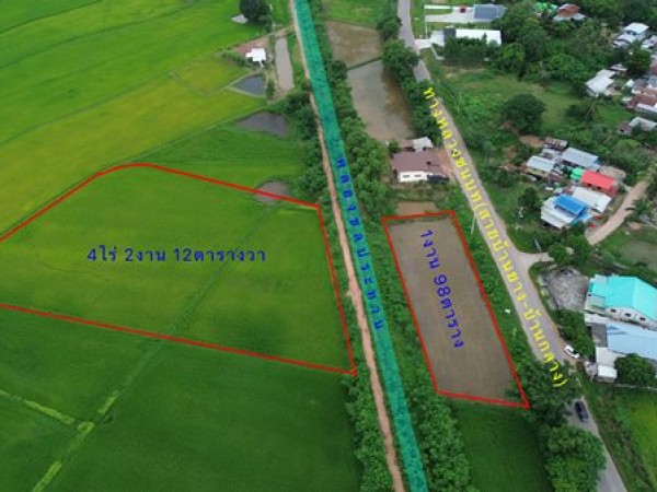 Land for sale Chaiyaphum ขายที่ดินชัยภูมิ มี 2 แปลง สามารถถมดิน ทำบ้าน ทำธุรกิจค้าขายได้ โทร 061-1195112