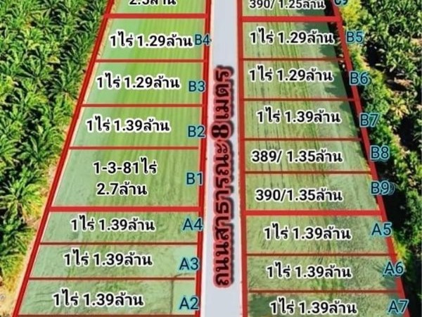 เฟสใหม่ใกล้ตลาดคลอง9.เมืองใหม่น้ำไฟดึงใกล้เข้า-ออกสะดวก. T.062-1574449