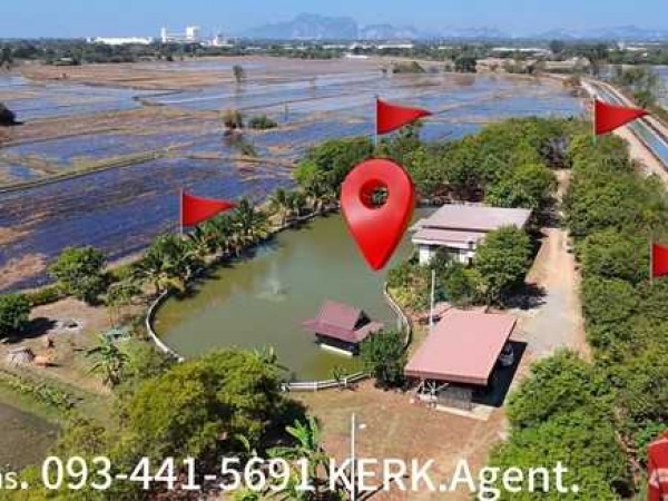 ขายที่ดินบ้านสวน เสาไห้ สระบุรี 6 ไร่ 2 งาน 39 ตรว. มีบ้านปูนลอฟท์ บ้านสวนพร้อมอยู่ ติดต่อ คุณเกริก 0934415691