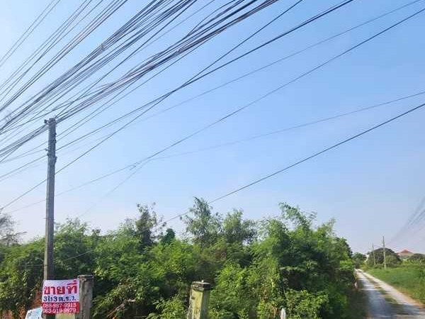 ขายที่ดิน 3 ไร่ ด้านหลังตลาดหนองจอก ถนนผดุงพันธ์ซอย 1 ทำเลธุรกิจ กรุงเทพชั้นนอกที่ชุมชน ติดถนน โทร 088-987-9915