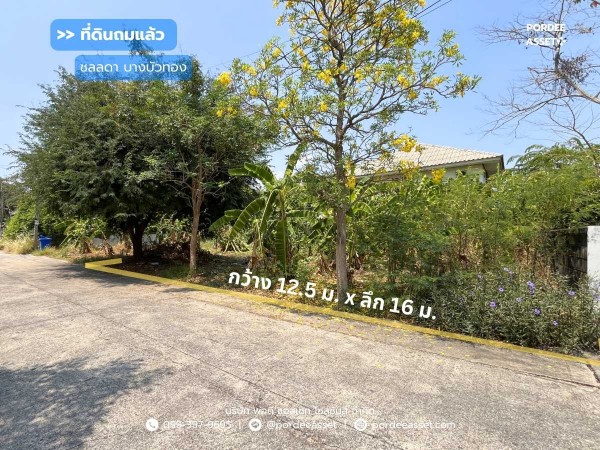 ที่ดินเปล่าถมแล้วใน หมู่บ้านชลลดา บางบัวทอง (ขนาด 50 ตร.ว.) ถ.บางกรวย-ไทรน้อย บางบัวทอง นนทบุรี ใกล้วัดเล่งเน่ยยี่2 และตลาดบางบัวทอง