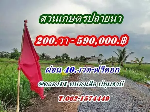 ที่ดินสวนเกษตร ชายทุ่ง ไม่ไกลกรุงแค่คลอง11 หนองเสือ ผ่อนได้สบายใจ- T.062-1574449