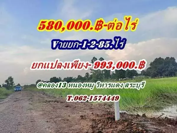 ที่ดินถูกมากใกล้ชุมชนมีเพื่อนบ้านที่คลอง13-หนองหมู-สระบุรี.T.062-1574449