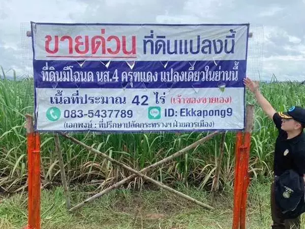ด่วน ขายที่ดินแม่สอด-ห้วยกระโหลก จำนวน 42 ไร่ (ที่ดินมีโฉนด นส. 4 ครุฑแดงแปลงเดียวในย่านนี้)