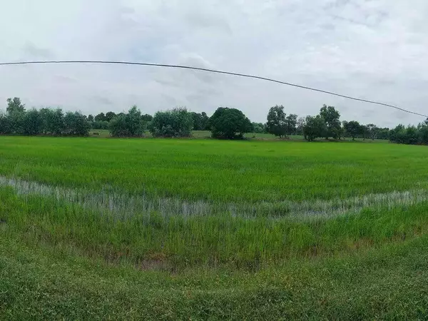 ที่ดินบ้านส้มโฮง ต.หินกอง อ.สุวรรณภูมิ จ.ร้อยเอ็ด