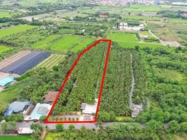 พื้นที่สวนมะพร้าว วิไลลักษณ์ ขายที่ดินพร้อมสวนมะพร้าว บางใหญ่ นนทบุรี เนื้อที่ 7 ไร่ 2 งาน 11 ตรว. โทร 088-2559999 เจ้าของขายเอง