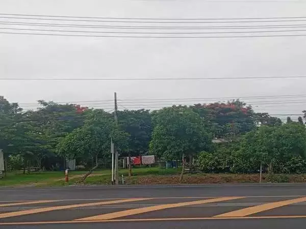 ขายด่วน! ที่ดินสวนเกษตรผสมผสานสไตล์รีสอร์ท อ.พัฒนานิคม จ.ลพบุรี พร้อมบ้านและสิ่งปลูกสร้างครบครัน โทร 063-3832910