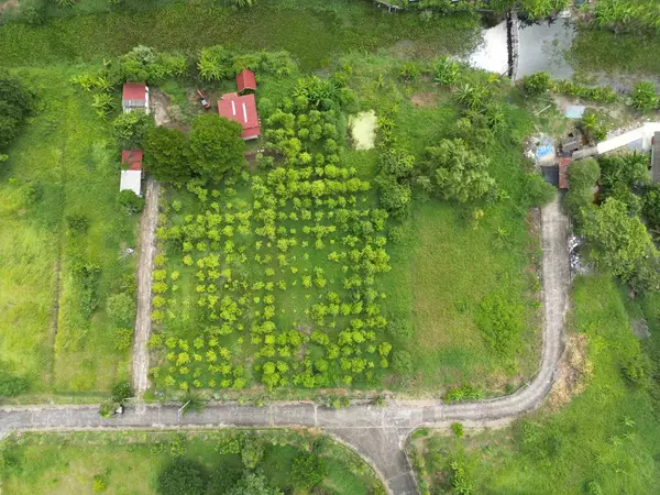ที่ดินแปลงใหญ่ ใจกลางกรุงเทพฯ ติดคลองธรรมชาติ